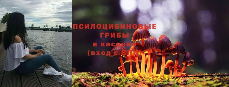 Галлюциногенные грибы Magic Shrooms  Арск 